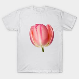 Pink Tulip flower art print T-Shirt